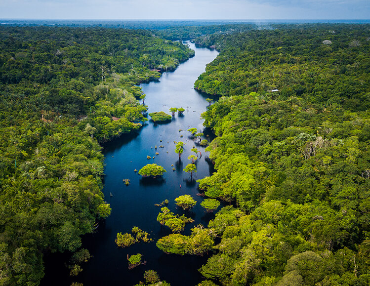 海・山・川などの自然